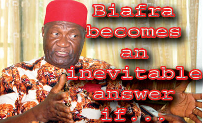 Video The Feelings Of Igbos About Remaining Part Of Nigeria Nwodo