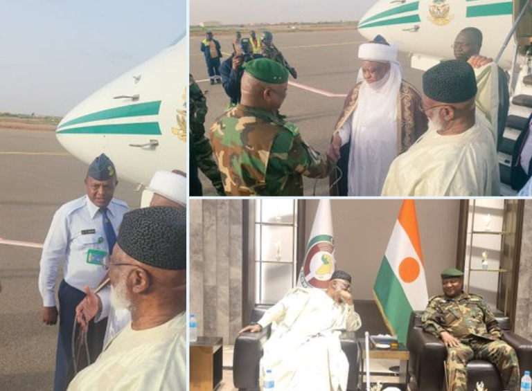 Video Ecowas Delegation Meets Coup Leaders In Niger Vanguard News