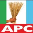 ONDO DECIDES: Expect more dividends of democracy, Ondo APC tells electorate