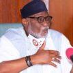 Ondo govt lifts ban on forestry activities