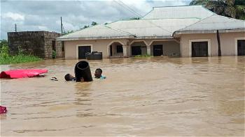 Cheers in Anambra communities as UNICEF begins rehabilitation of flood-damaged facilities
