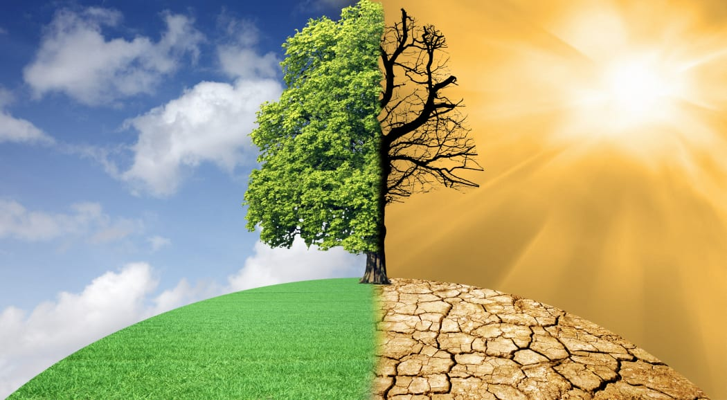 FG endorses white paper on harmonisation of global climate concerns