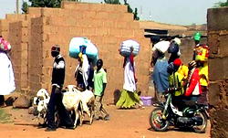 United Nations seeks W-African regional approach to lingering farmers/herdsmen crisis