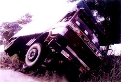 15 dead as truck conveying cows, passengers plunged into river