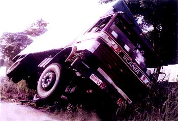 15 dead as truck conveying cows, passengers plunged into river