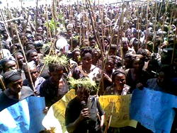 Polls: Plateau stakeholders search for elusive peace