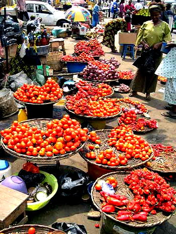 Presidency begins engagement on food security