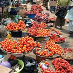 Consumer Watch: Basket of Tomatoes sells for N17,000 – N19,000