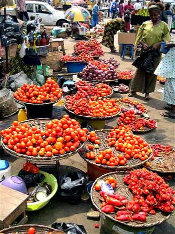 Consumer Watch:    Basket of Tomatoes sells for N17,000   –  N19,000