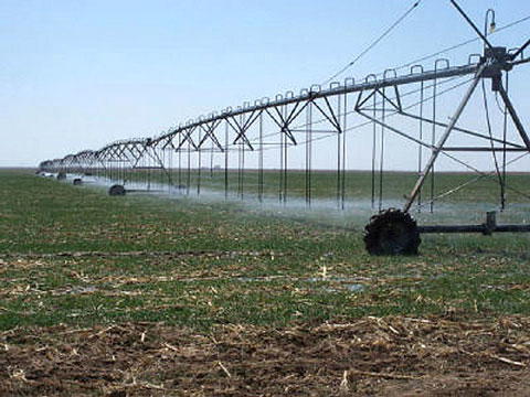 Irrigation, Kano farmers