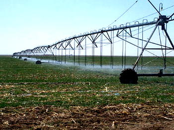 Kano govt distributes 5,000 water pumps to farmers for irrigation