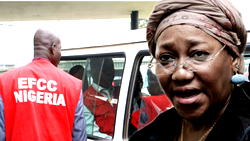 Sack of  Waziri and the PDP connection