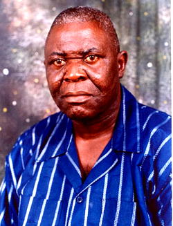 How opposition elements can take advantage of National Conference, by Ayo Opadokun, others