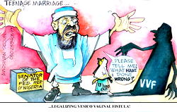 Islamic law sanctions marriage based on maturity not age – Ahmad Sani