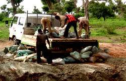 Health Commissioner confirms meningitis spread in Zamfara