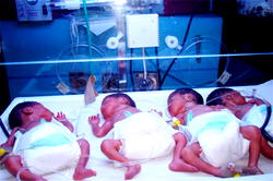 Children in a Petrie dish