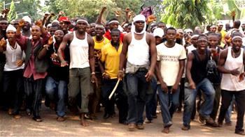 Youths protest oil firms’ operations, barricade Delta Assembly