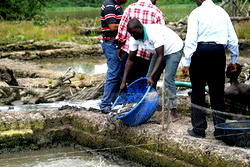 Govt. calls for cooperation among fish farmers