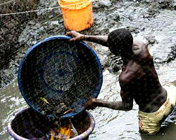 Bonga oil spill: RA/FoE findings