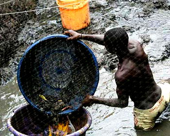 Bonga oil spill: RA/FoE findings