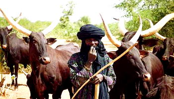 These Fulanis are no cattle rearers, they are rapists – Obi Onicha-Ugbo