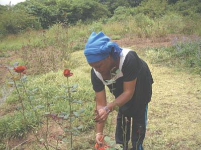 AGRA: Africa’s soils are in trouble, says Jane Karuku
