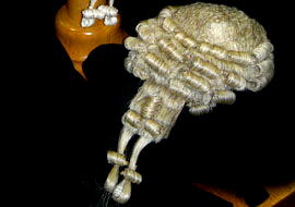 Fake lawyer with 7 years ‘experience’ docked