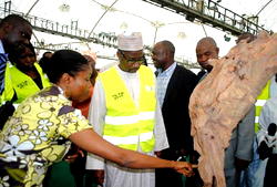 Govt needs N200bn to compensate Abuja natives — FCT Minister