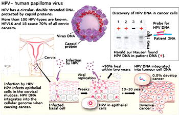 How nutrition, contraceptives affect reproductive health