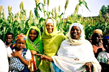 Bauchi farmers benefit from FG’s wheat  value chain initiative