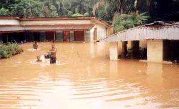 Floods leave 38 dead in Tanzania