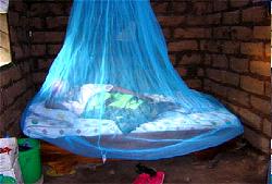 World leaders raise $12 billion in fight against malaria