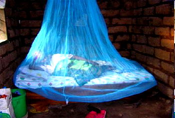World leaders raise $12 billion in fight against malaria