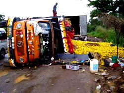 Our roads: Not fit for purpose