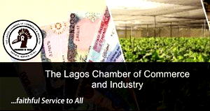 Business leaders, wary of lingering uncertainties —LCCI