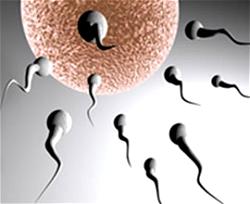 Experts move to stop quackery in fertility treatment