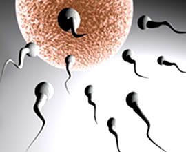 Experts move to stop quackery in infertility treatment