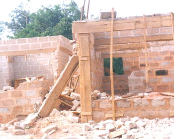 Why FCT is littered with abandoned houses- NIESV