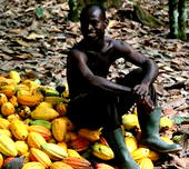 cocoa farmer