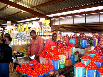 Agriculture experts gather to tackle food shoratges