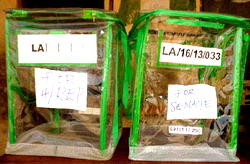 Any dream of a third  term is a bad dream!