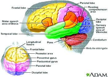 Lower income depletes brain activity in childhood