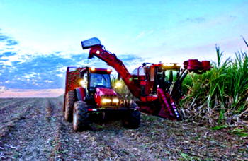 FG unveils N45bn sugar project in Niger State