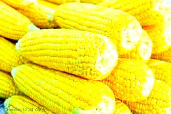 Zimbabwe to import 700,000 tonnes of corn to avert hunger