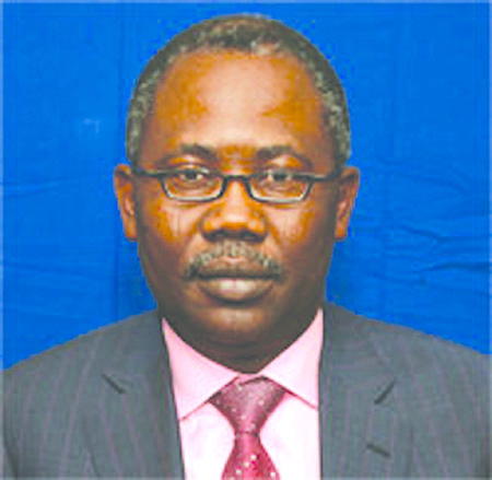 Malabu scandal: I was pressured to implicate Adoke, says Russian suspect