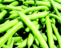 5 super foods everyone should eat