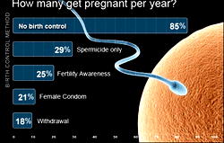 Birth control: The plan every family needs