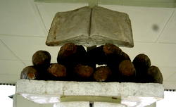 ‘Bible dropped from heaven on rain-soaked yams… Bible not wet’