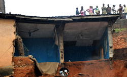 Lagos prostrate