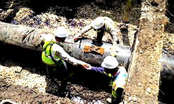 ERHC gets presidential nod for  Chadian oil blocks